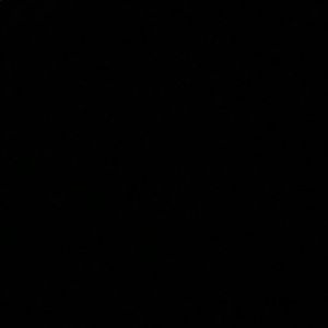 Meet your Posher, Teddy